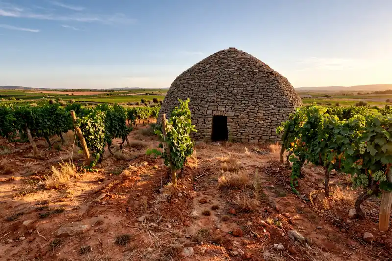 Un bombo de piedra seca de Tomelloso entre viñas, con la tierra ocre al atardecer